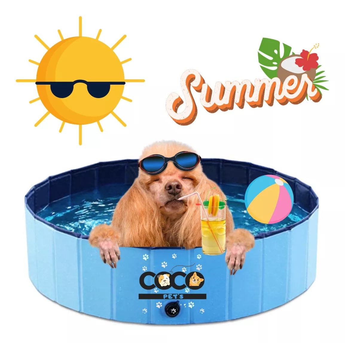 Piscina Plegable Para Mascotas en Verano